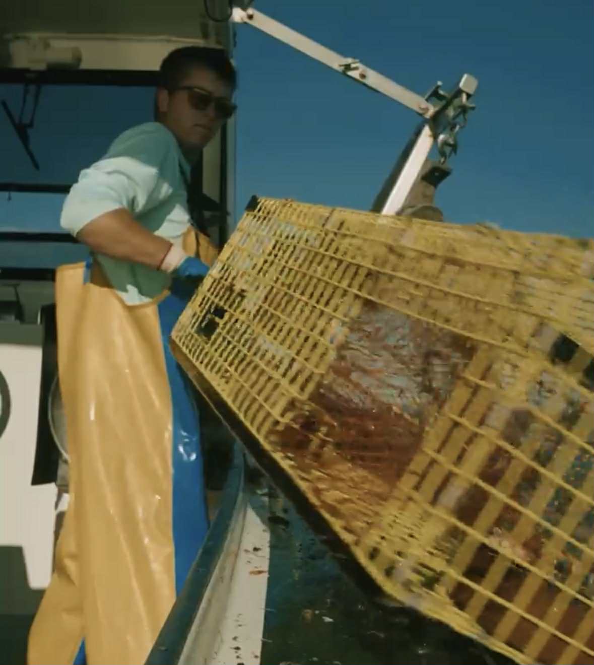 Hauling a string of traps — teamwork moment