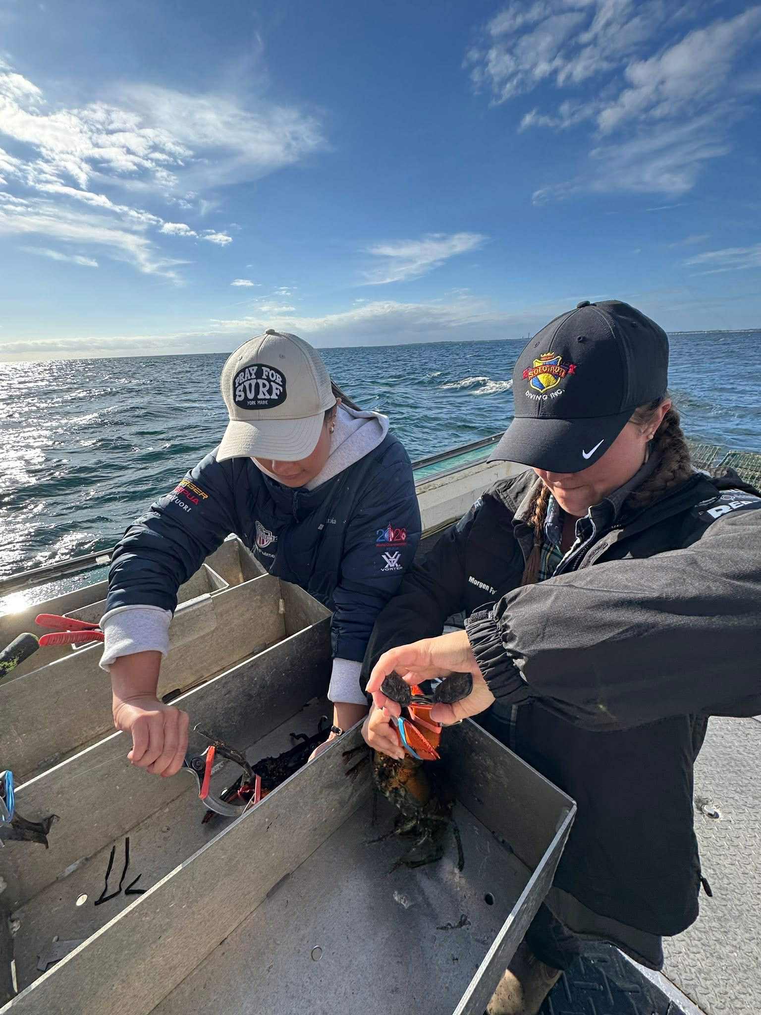 Banding lobster claws on deck